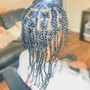 Senegalese Twist- Jumbo