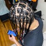 Starter Locs