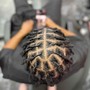 Starter Locs w/ style