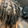 Starter Locs