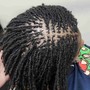 Traditional Loc Maintenance(90 Locs or less)(large)