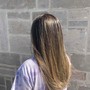 Full Balayage, Blowout, Cut