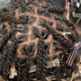 Starter Locs