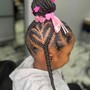 Kid's Natural Hair Braid Style