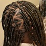 Individuals/Box Braids (Medium)