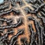 Comb Twist (Coils)