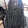 Kinky Twist