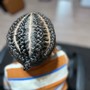 Boy braids (kids ONLY)