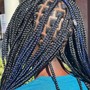 Kid's Braids or Twists