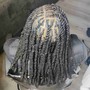 Short Distressed/ Butterfly Loc/Natural Locs