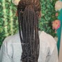 Small feed in Braids (1layer)