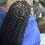 Medium Half feed-in and single braids at the back