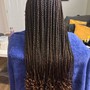 Medium Half feed-in and single braids at the back