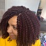 Natural Twists/natural braids