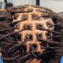 Micro Locs( natural hair)