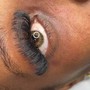 Bottom Lash