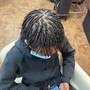 Starter Locs