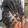 Starter Locs