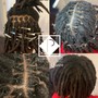 Ear Length Loc Coils