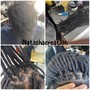 DreadLoc two strand twist and style