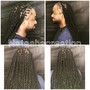 Loc Maintenance with shampoo, twist, trim and Loc Style