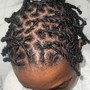 Natural Twists (MICRO-TWISTS)