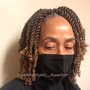 Tree Braids 1 set