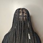 Mens single braids/ 2 strand twists (whole head, nothing shaved or very little shaved)