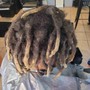 Starting Your Locs