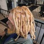 Starting Your Locs