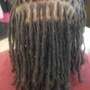 Palm Roll/ Retwist w/ Styling