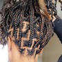 Fulani Braids