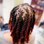 Two Strand Twists