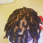 Coil Starter Locs