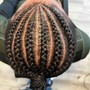 Individual Braids