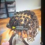 Natural Twists(2strand)