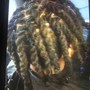 Starter Locs