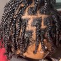 Natural twists