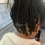 Senegalese Twist medium