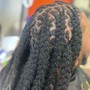 Butterfly Locs touch up