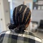 4-6 Feed-in Braids