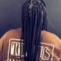 Jumbo Box  Braids