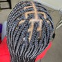 Feed-In Braids 2/3 layers