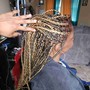 Box Braids