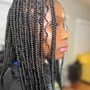 Small Faux Locs