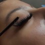 Eyebrow Wax + Tint or Henna + Shaping &amp; Style