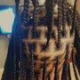 Small Freestyle Cornrows to the back