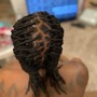 Starter Locs