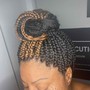 Box Braids/Perimeter Braids