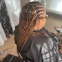 Feed in Braids